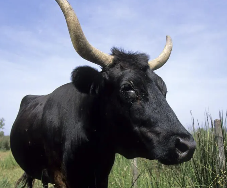 Intervention des secours